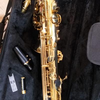 Saxa1